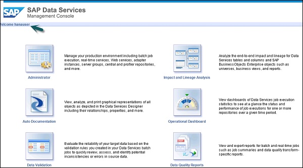sap data services documentation