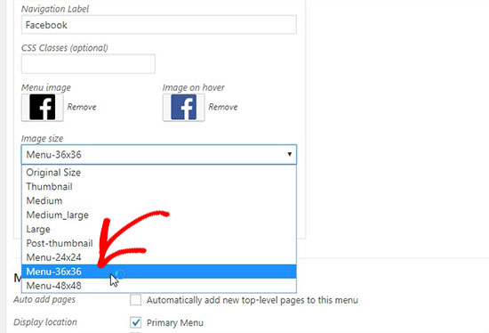 add social media buttons to word document