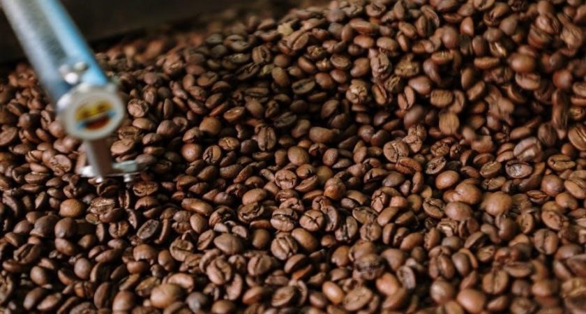 aroma roaster oven manual