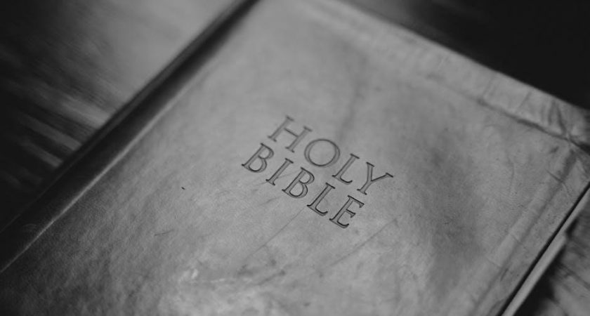discover bible study guides pdf
