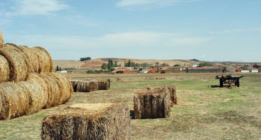 hay wagon plans pdf