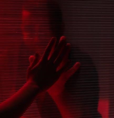 our missing hearts pdf